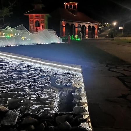 Studio Cicha Krynica-Zdrój Exteriör bild